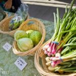Farmer's Market