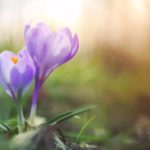 Spring Into Art