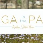 Yoga at the Park