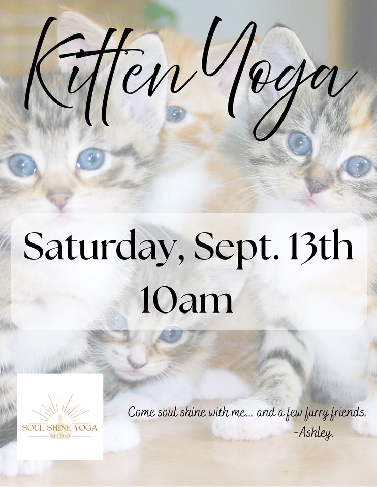 Soul Shine Kitten Yoga