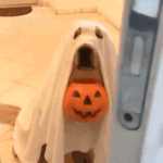 Dr. Khan Presents: Trick or Treat