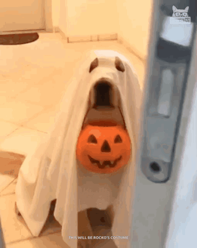 Dr. Khan Presents: Trick or Treat