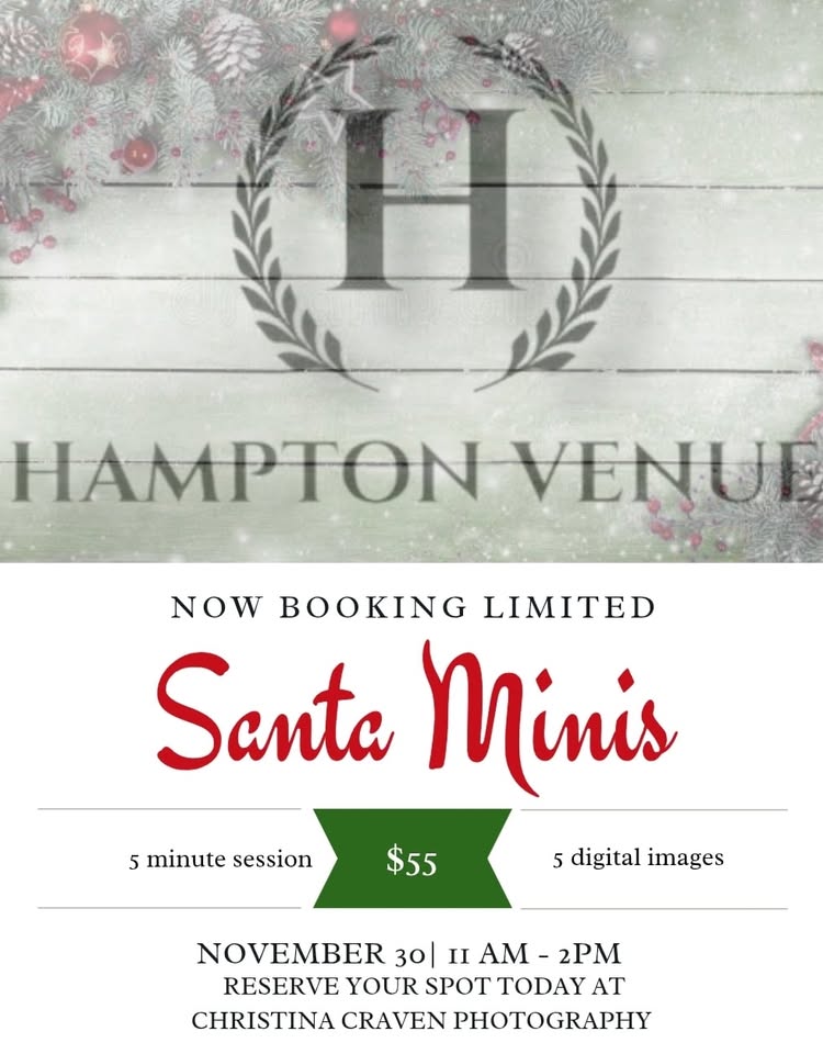 Santa Minis by Christina Craven Photography